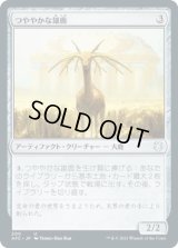 つややかな雄鹿/Burnished Hart (AFC)
