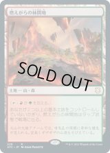 燃えがらの林間地/Cinder Glade (AFC)