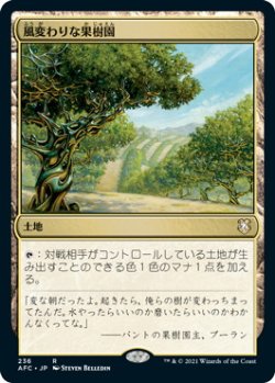 画像1: 風変わりな果樹園/Exotic Orchard (AFC)