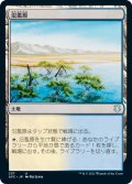 氾濫原/Flood Plain (AFC)