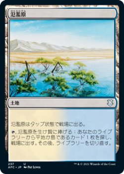 画像1: 氾濫原/Flood Plain (AFC)