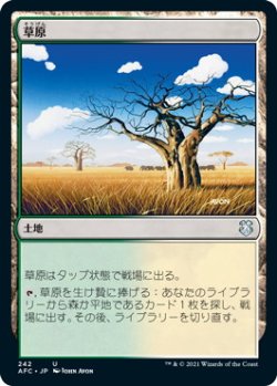 画像1: 草原/Grasslands (AFC)