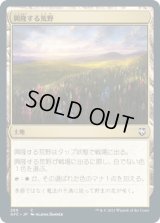 興隆する荒野/Thriving Heath (AFC)