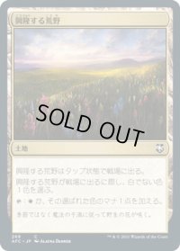 興隆する荒野/Thriving Heath (AFC)