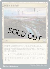興隆する湿地帯/Thriving (AFC)
