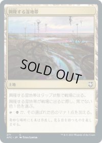 興隆する湿地帯/Thriving (AFC)