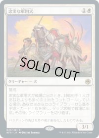 忠実な軍用犬/Loyal Warhound (AFR)《Foil》