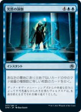 突然の洞察/Sudden Insight (AFR)