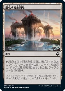 画像1: 進化する未開地/Evolving Wilds (AFR)《Foil》