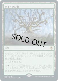 ハイドラの巣/Lair of the Hydra (AFR)