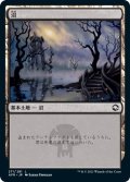 沼/Swamp 【Ver.2】 (AFR)《Foil》