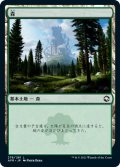 森/Forest 【Ver.1】 (AFR)《Foil》