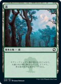 森/Forest 【Ver.2】 (AFR)《Foil》