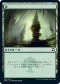 森/Forest 【Ver.3】 (AFR)