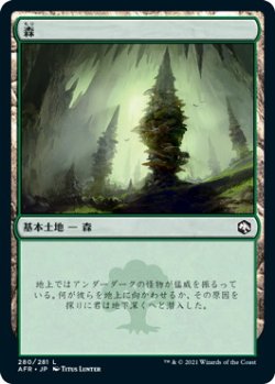 画像1: 森/Forest 【Ver.3】 (AFR)