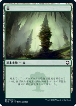 画像1: 森/Forest 【Ver.3】 (AFR)《Foil》