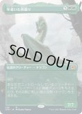 年老いた骨齧り/Old Gnawbone (AFR)【拡張アート版】