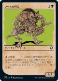 ノールの狩人/Gnoll Hunter (AFR)【ショーケース版】《Foil》