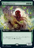 夢の円環のドルイド/Circle of Dreams Druid (AFR)【拡張アート版】《Foil》