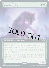 群れ率いの人狼/Werewolf Pack Leader (AFR)【拡張アート版】《Foil》