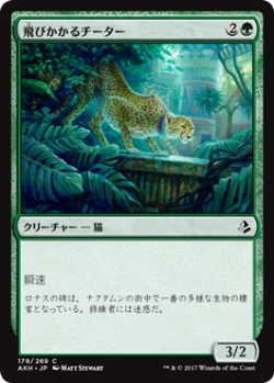 画像1: 飛びかかるチーター/Pouncing Cheetah(AKH)《Foil》