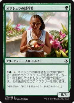 画像1: オアシュラの耕作者/Oashra Cultivator(AKH)《Foil》