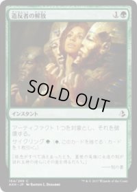 造反者の解放/Dissenter's Deliverance(AKH)《Foil》