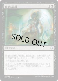 野望の試練/Trial of Ambition(AKH)《Foil》