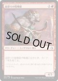 血怒りの喧嘩屋/Bloodrage Brawler(AKH)《Foil》