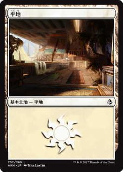 画像1: 平地/Plains (AKH)【Ver.3】《Foil》