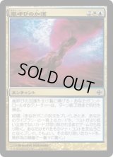 嵐呼びの加護/Stormcaller's Boon (ARB)