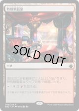 特別観覧室/Luxury Suite (BBD)