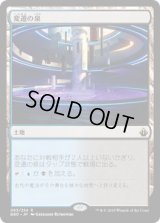 変遷の泉/Morphic Pool (BBD)