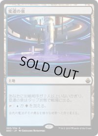 変遷の泉/Morphic Pool (BBD)