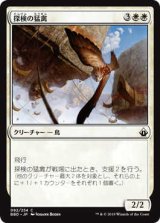 探検の猛禽/Expedition Raptor (BBD)