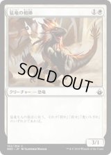 猛竜の相棒/Raptor Companion (BBD)《Foil》