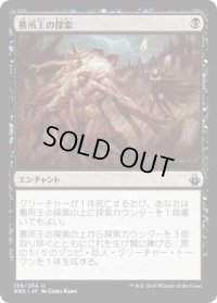 墓所王の探索/Quest for the Gravelord (BBD)《Foil》