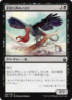 画像1: 金切り声のノスリ/Screeching Buzzard (BBD)