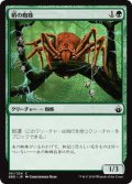 梢の蜘蛛/Canopy Spider (BBD)