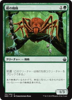 画像1: 梢の蜘蛛/Canopy Spider (BBD)《Foil》