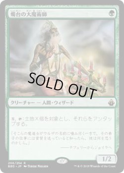 画像1: 燭台の大魔術師/Magus of the Candelabra (BBD)《Foil》