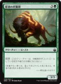 原初の狩猟獣/Primal Huntbeast (BBD)《Foil》