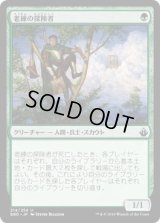 老練の探険者/Veteran Explorer (BBD)《Foil》