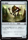 貫く徘徊者/Pierce Strider (BBD)《Foil》