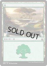 森/Forest (BBD)