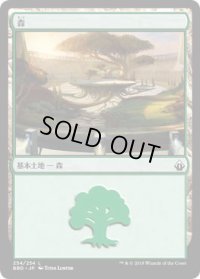 森/Forest (BBD)