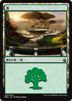 画像1: 森/Forest (BBD)《Foil》