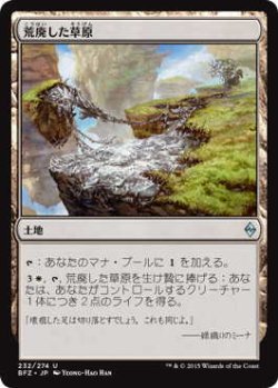 画像1: 荒廃した草原/Blighted Steppe (BFZ)《Foil》