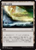 荒廃した森林/Blighted Woodland (BFZ)《Foil》