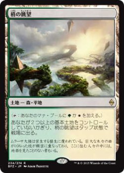 画像1: 梢の眺望/Canopy Vista (BFZ)《Foil》